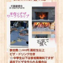 いぬねこ譲渡会 サムネイル2