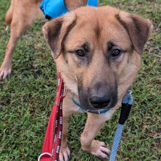 “ふぅり”　男の子