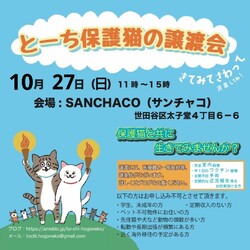 とーち保護猫の譲渡会@三軒茶屋