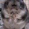 の写真
