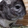 の写真