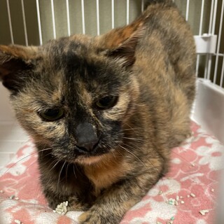  緊急募集！厳しい寒さの漁港にリリース