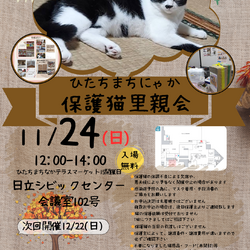 ひたちまちにゃか保護猫里親会