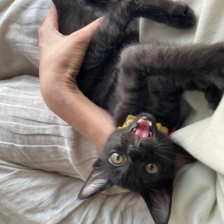 見た目も性格もハナマル❤️な宗四郎くん