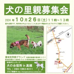 「犬の合宿所in高槻」の里親募集会