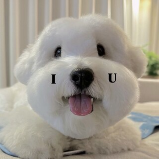 男の子です⭐︎