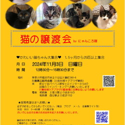 11月3日　猫の譲渡会　by にゃんころ隊
