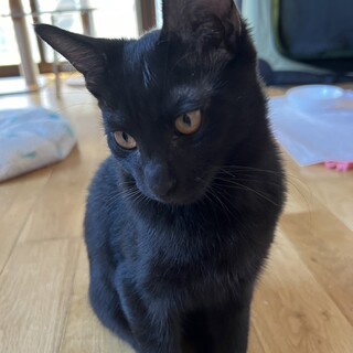 ダンくん☆男の子