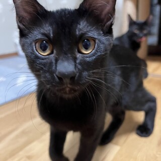 キー君☆男の子3ヶ月半