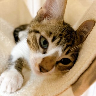 元気いっぱい♡アミュくん