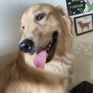 10ヶ月の男の子