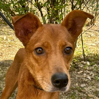 明るくスレンダー美人なくるみちゃん