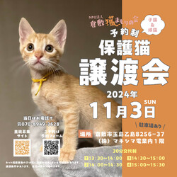 保護猫譲渡会（予約制）