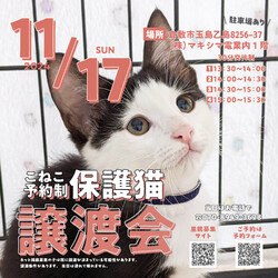 保護猫譲渡会（予約制）