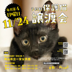 保護猫譲渡会（予約制）