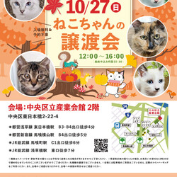 ねこざんまい譲渡会@東日本橋