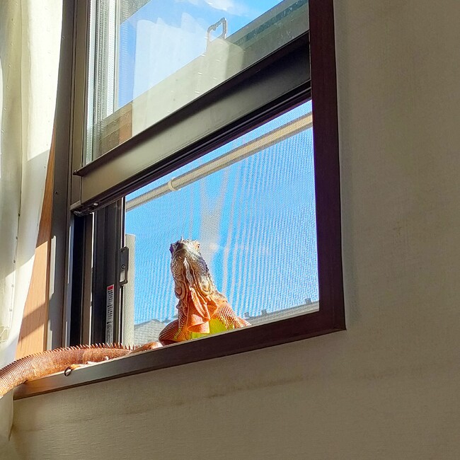 なるさのカバー写真