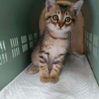 めちゃくちゃ可愛いこう君