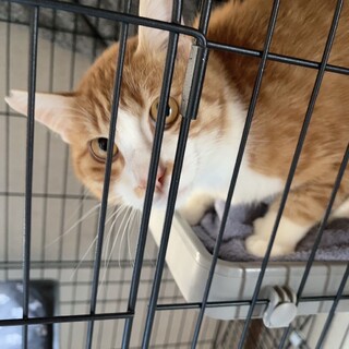 この子に新しい居場所を。