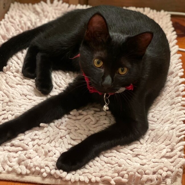 さあややのカバー写真