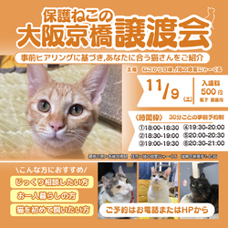 大阪京橋保護ねこ譲渡会