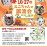 【10/27 東日本橋】甘えさせて♡ランくん サムネイル7