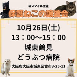 ねこの譲渡会＠大阪市城東区