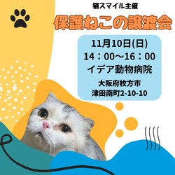 ねこの譲渡会＠枚方市