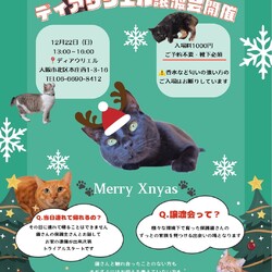 あなたのハートをわしづかみ！独占欲強めニャンず♡ サムネイル2