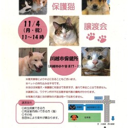 川越市保健所主催の譲渡会に参加します！ サムネイル1
