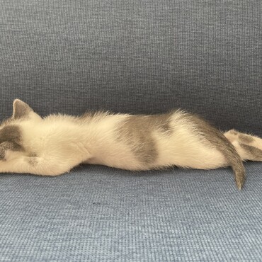 の写真