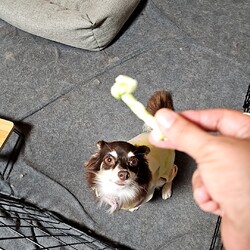 「おやつ」サムネイル2