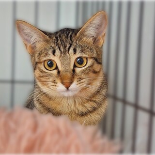 まいたけきょうだい❤️ムギワラまいちゃん