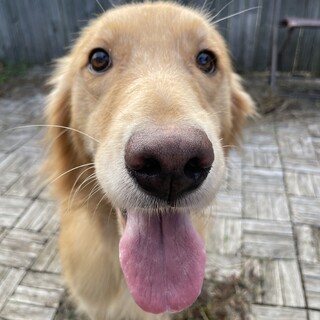 2歳の女の子です