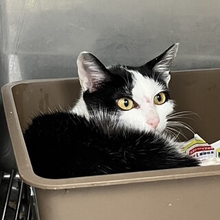 頑張ってます、大きなハンデを負った小鞠ちゃん