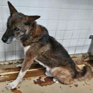 お迎えがありました❗️