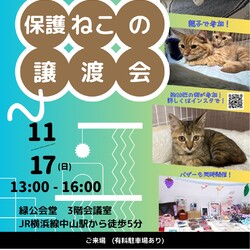 保護ねこの譲渡会 in 緑公会堂