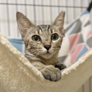 [お見合い歓迎]まあちゃん