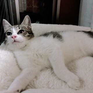 優しい瞳♡おだやか♡ようすけくん