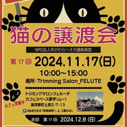 第17回猫の譲渡会at湯河原町
