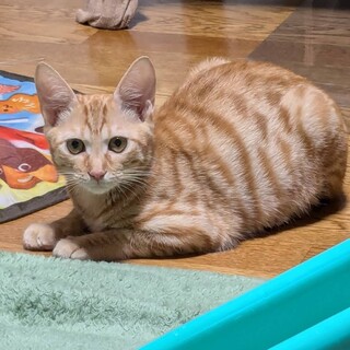 やんちゃな仲良し3人組