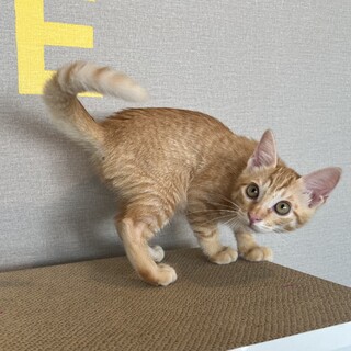 力加減を知らない男『さっちも』