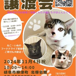 岐阜市保護猫譲渡会