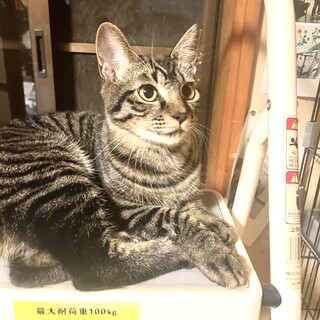 元気で食欲旺盛な女の子