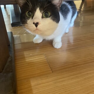 2歳くらいの男の子