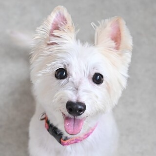 好奇心旺盛でとってもパワフルな女の子