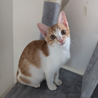 人慣れした可愛い女の子❤️