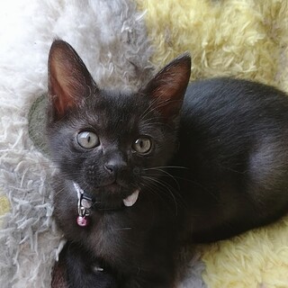 素敵なご縁に恵まれました！