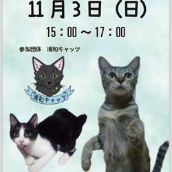 モフモフ里親会 in 江東区南砂