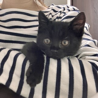 と〜っても甘えん坊さん♡可愛い女の子